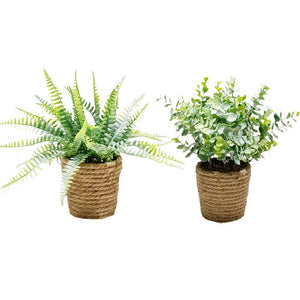 Twine pot decorative plant (set of 2)