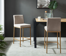 Load image into Gallery viewer, Dani Counter Height Stool -Grey/Gold.
