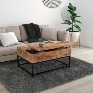 Ojas Lift-Top Coffee Table