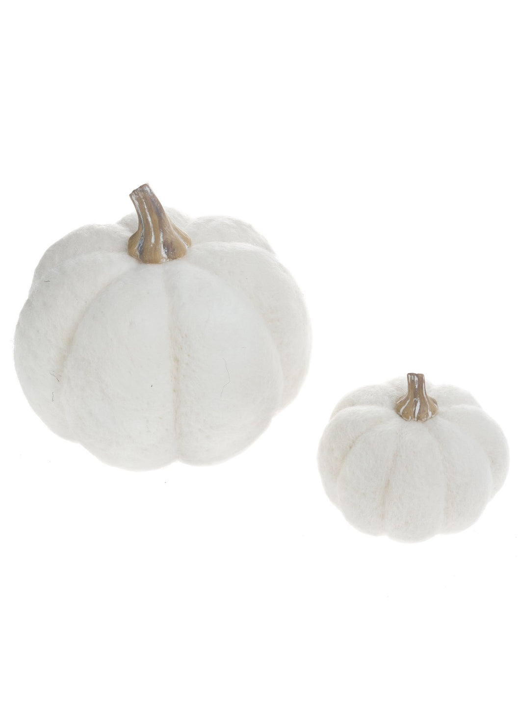 White Wool Pumpkin